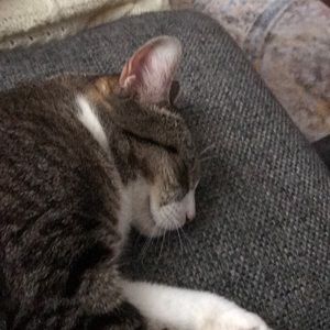 Meet your Posher, Daniel